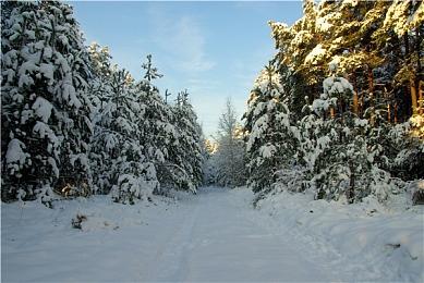 《赛博朋克2077》PC版热修复已上线 解决崩溃问题